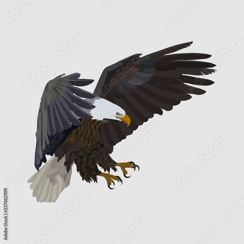 realistic eagle soaring eagle, catching prey, a symbol of freedo