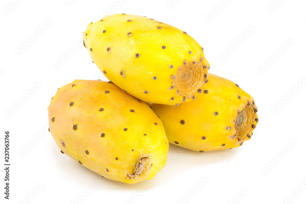 yellow prickly pear or opuntia isolated on a white background yellow prickly pear or opuntia isolated on a white background