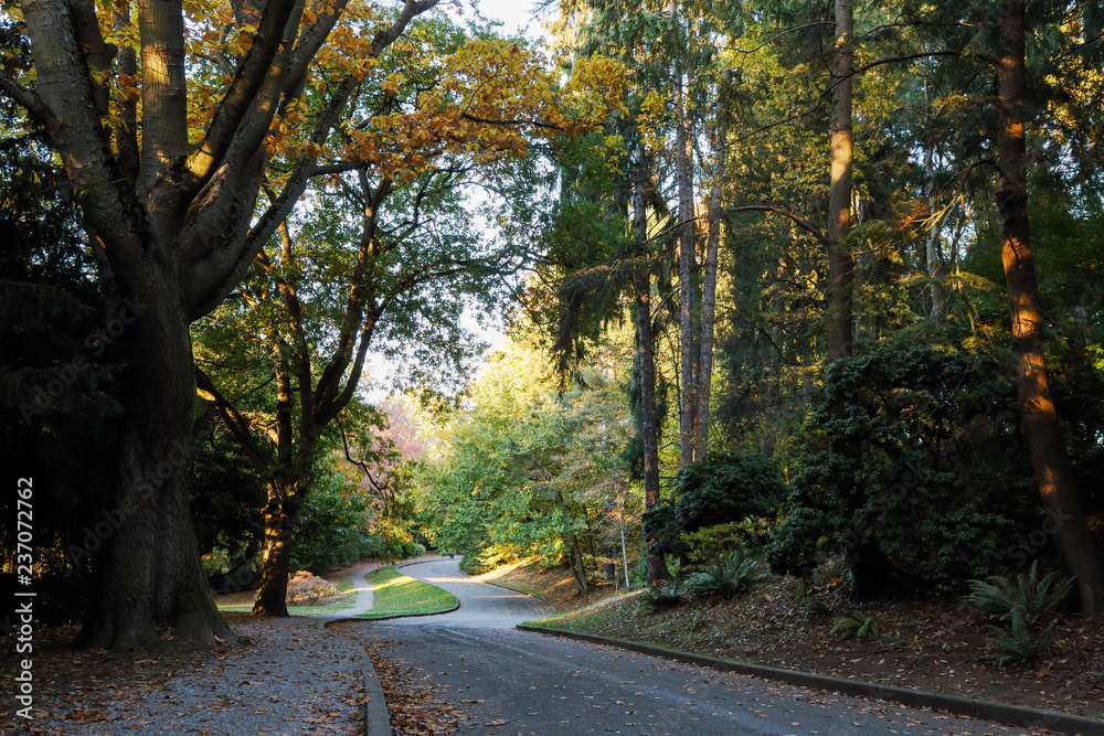Fototapeta premium fall colors at Volunteer Park, Seattle Washington