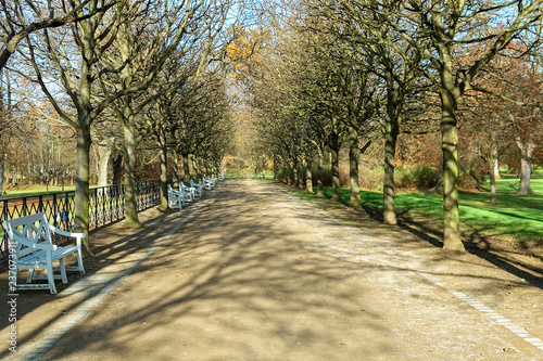 Wiesbaden - Allee mit nostalgischen Bänken im Schlosspark Biebrich im Dezember