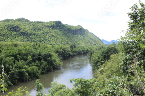 view on Mae Klong river near Kanchanarburi with green hills and giant ferns, Thailand