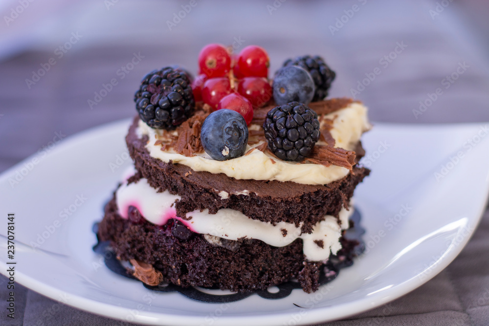 Chocolate cake with blackberry, cranberry and blueberry Chocolate cake with blackberry, cranberry and blueberry
