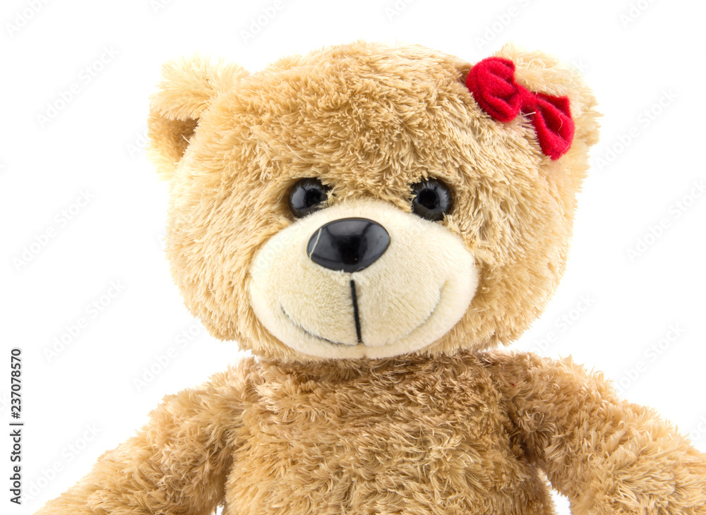 Obraz premium A standing bear. Isolated on white background.