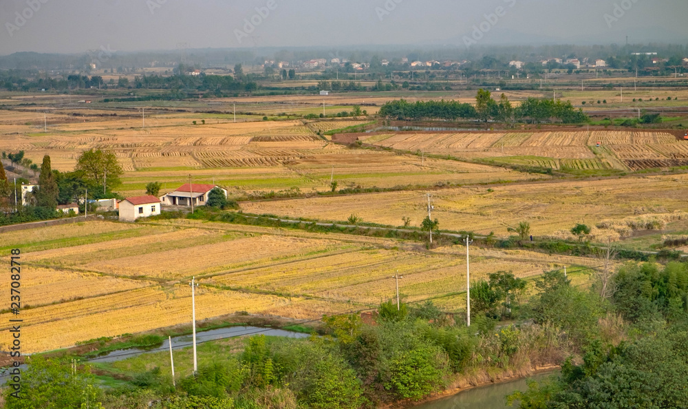 The beautiful rice field view from the top.