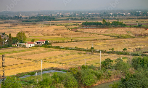 The beautiful rice field view from the top.