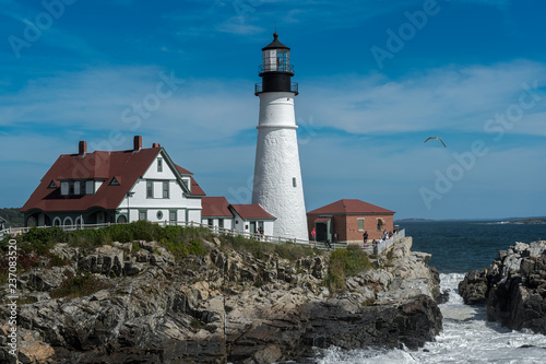 Portland Head Lighthouse and Seagull
