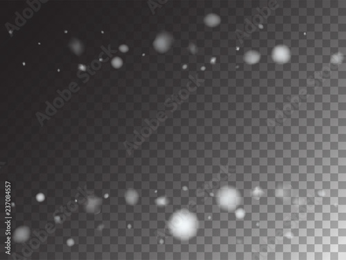 Winter Snowfall Ice Texture Vector Transparent Background. Realistic Snow Confetti Falling Down, Isolated Snowflake Scatter. Random Moving Realistic Snow Confetti, Christmas New Year Frost Decoration.