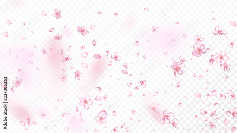 Nice Sakura Blossom Isolated Vector. Realistic Flying 3d Petals Wedding Texture. Japanese Oriental Flowers Wallpaper. Valentine, Mother's Day Feminine Nice Sakura Blossom Isolated on White