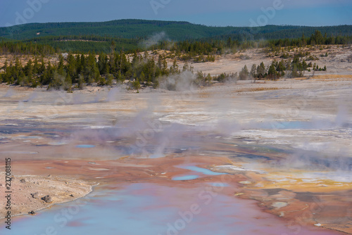 Steam rises from geothermal features in Yellowstone National Park