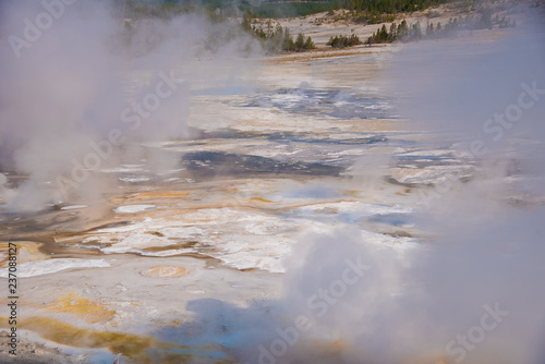 Steam rises from geothermal features in Yellowstone National Park