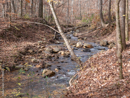 A stream flowing through the forest in Calhoun County, Alabama, USA