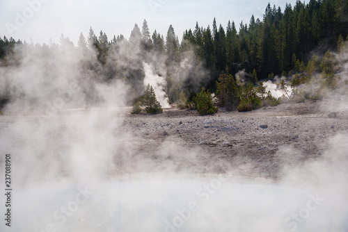 Steamy landscape view of geothermal features, Yellowstone National Park