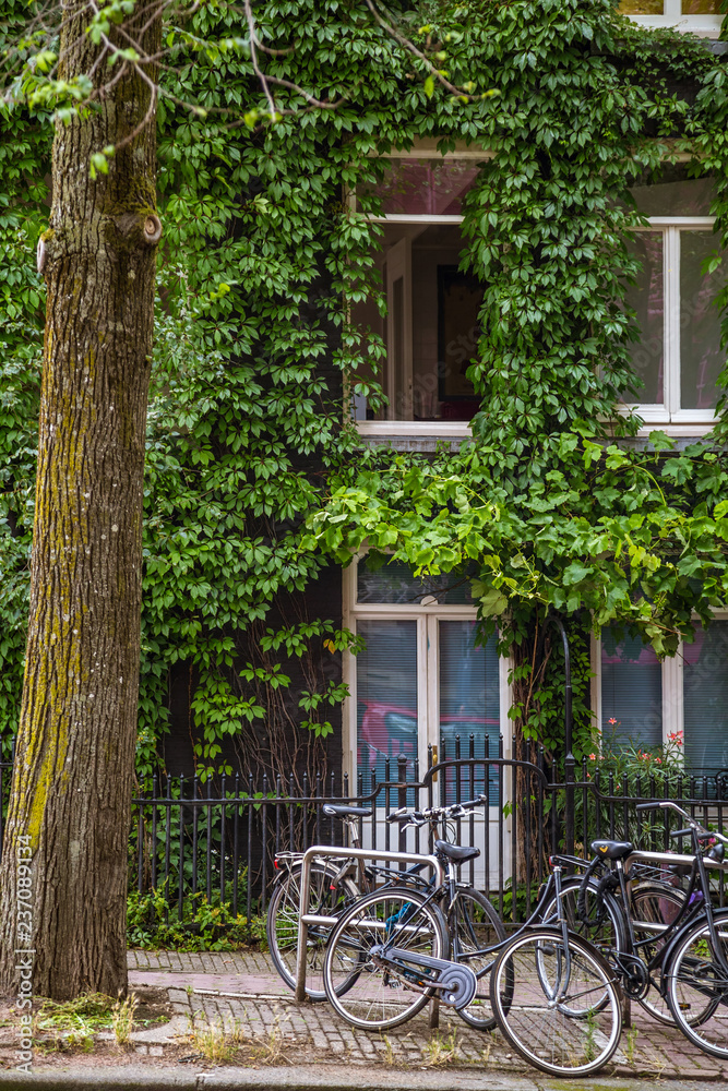 Bicycles in front of a house in Amsterdam
