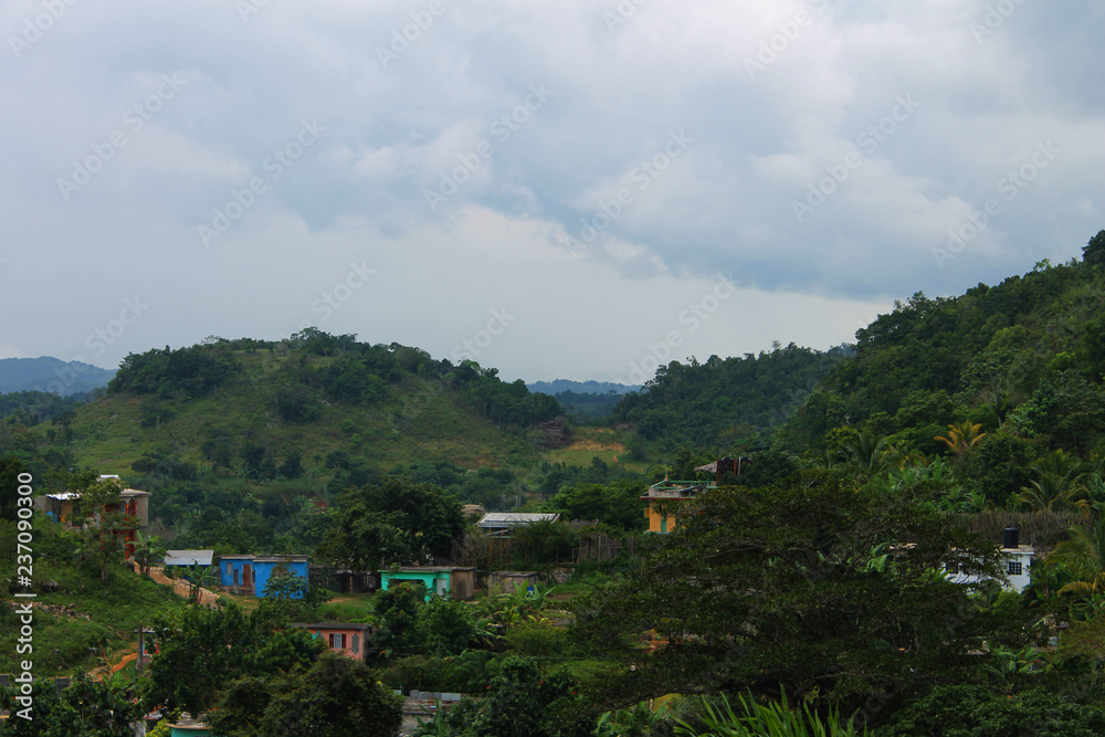Houses and shacks nestled among the lush, green foliage that covers the hillside, Nine Mile, Jamaica
