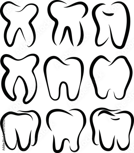 Line drawing of tooth set