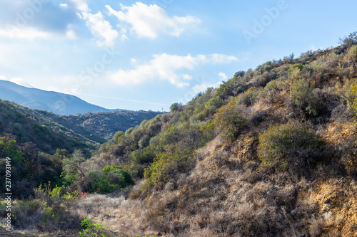 Fall hillsides in Southern California mountains with room for copy space in sky