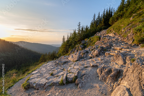 Hiking path in the Tatra Park