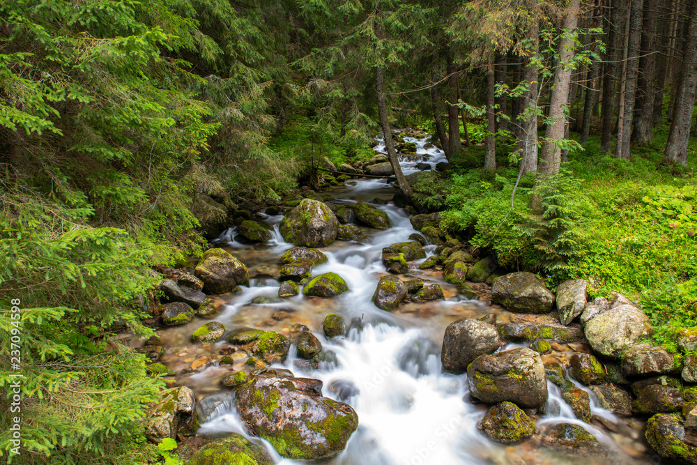 River in the Tatra Mountains, Poland