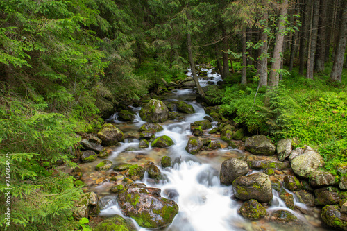 River in the Tatra Mountains  Poland