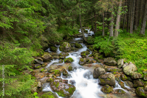 River in the Tatra Mountains, Poland