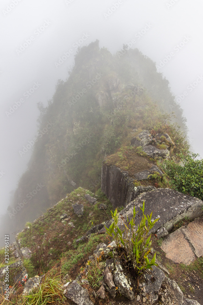 Huayna Picchu appear in front of our eye in between the fog while the clouds retreat. Steep walls with impressive valleys and mountains surround the old city of the Inca Empire, Peru, South America