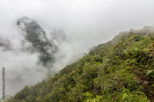 Views over the mountains and rainforest around Machu Picchu Citadel an amazing an idyllic scenery to view during a foggy morning. An amazing green landscape to enjoy with our eyes. Inca Trail, Peru © abriendomundo