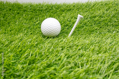 Golf ball is on green grass with white tee