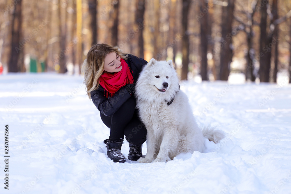 Beautiful young girl with a Samoyed dog in the winter forest on the snow