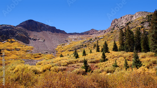 Fall foliage coat the soaring mountains above the Rico Silverton trail in the San Juan range of the Colorado Rockies. 