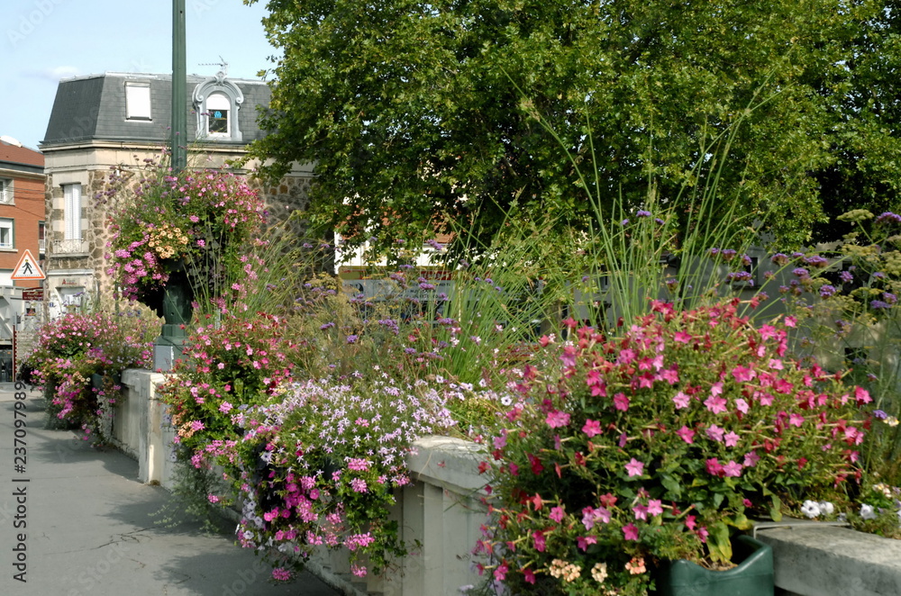 Fototapeta premium Ville d'Epernay, pont fleuri et rambarde en pierre, département de la Marne, France