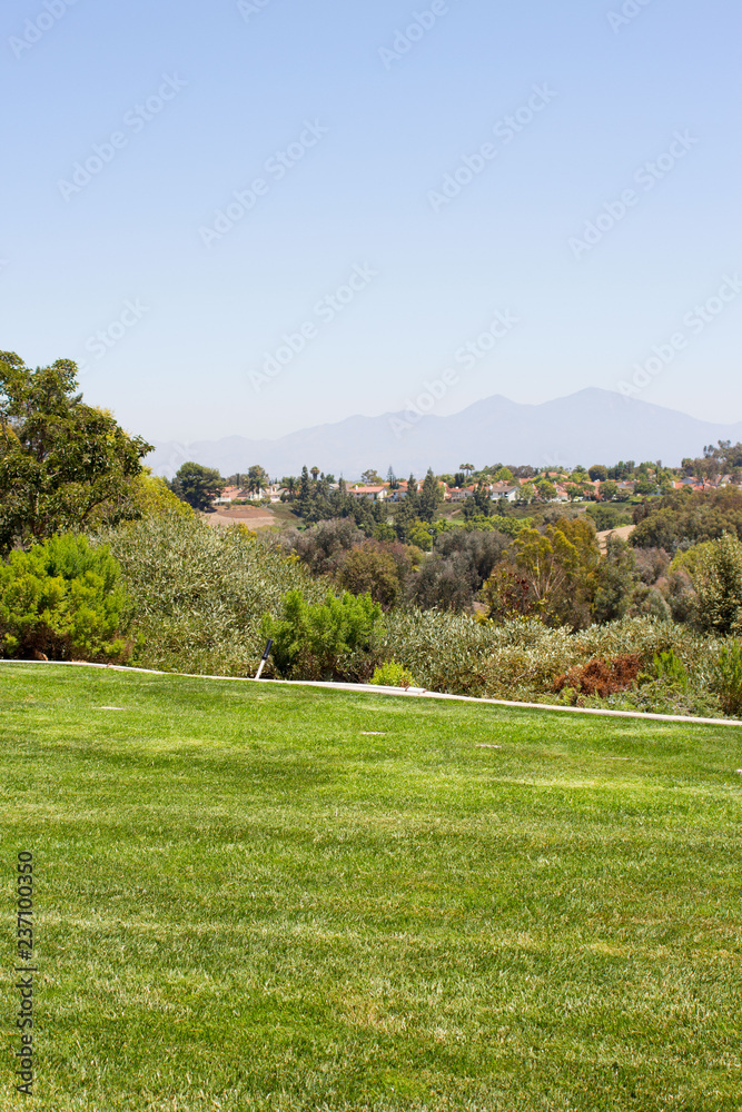 Luscious green vegetation landscape from a park in Laguna Niguel, California