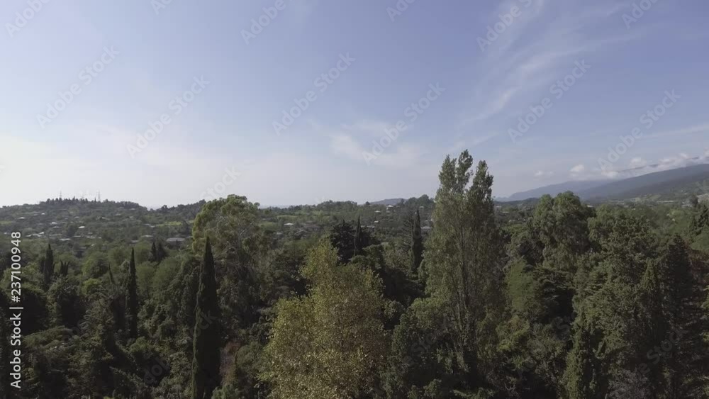 Drone camera shows peacefull valley and rural area surrounded by cute big green trees, fields, gardens, bushes and nice hills on summer sunny day with amazing blue sky. Drone camera shows peacefull valley and rural area surrounded by cute big green trees, fields, gardens, bushes and nice hills on summer sunny day with amazing blue sky.