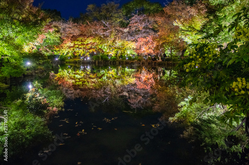 Red leaves light up at Kyoto Toji in Japan