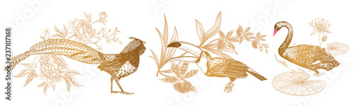 Pheasant and peonies, toucan and orchid, swan and water lily. Vintage engraving.