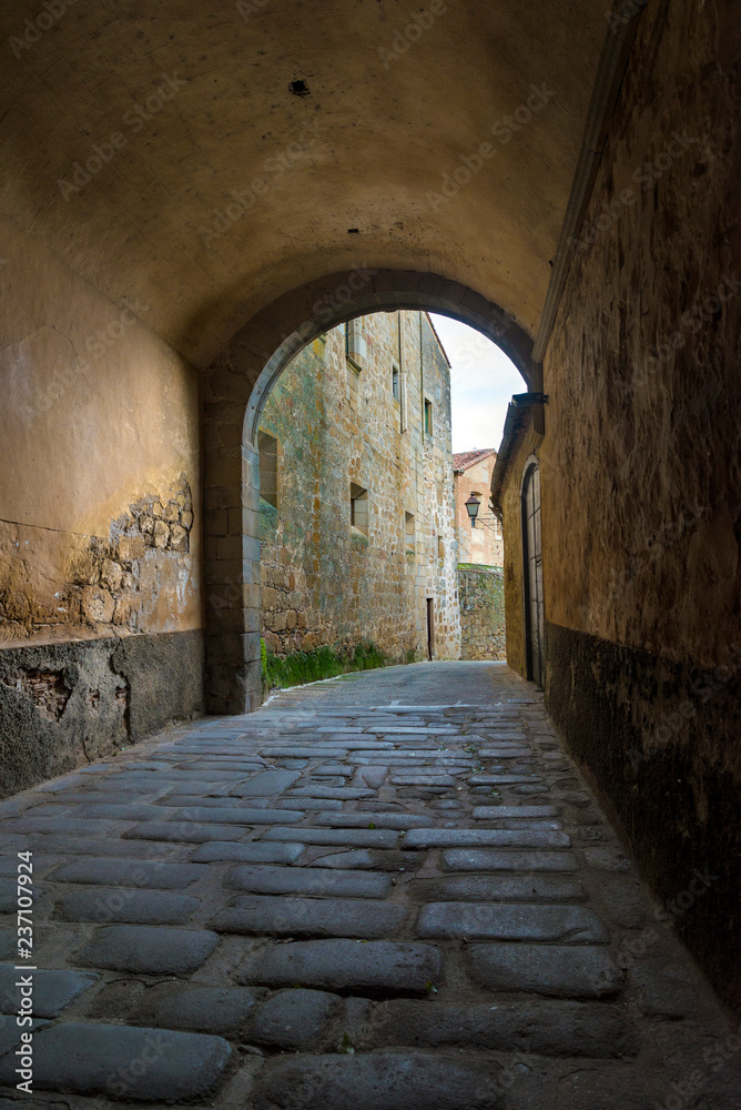 PLASENCIA, CACERES, SPAIN - NOVEMBER 18, 2018: The tunnel of the palace of the Marquis of Mirabel.