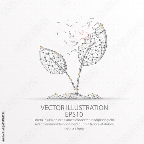 Young plant form low poly wire frame on white background.