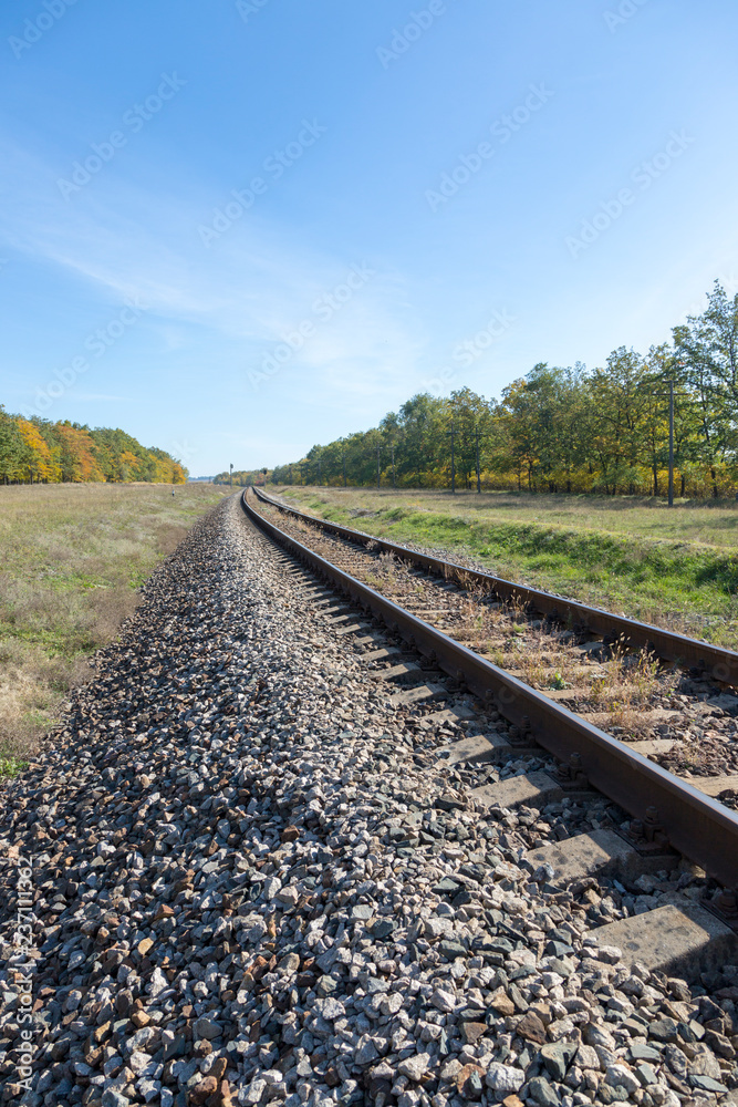 Fototapeta premium Autumn landscape with railway and oak grove