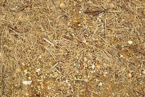 Straw, stones and sand