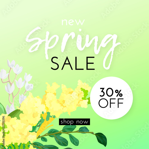 Floral spring design with white and yellow flowers, green leaves, eucaliptus and succulents on bright background. Template for sale banner or flyer. Vector illustration.