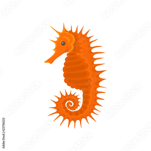Flat vector icon of bright orange seahorse. Small sea animal. Marine creature with long snout and curled tail