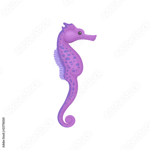 Bright purple seahorse with small spots. Marine animal. Sea and ocean life. Flat vector design