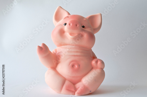 funny pink piggy on white background