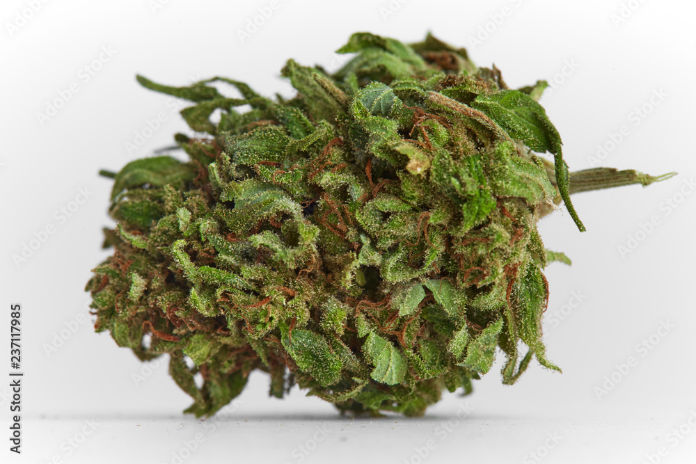 Close up macro photo of prescription and recreational medical marijuana hybrid strain flower indica dominant OG on white background Close up macro photo of prescription and recreational medical marijuana hybrid strain flower indica dominant OG on white background