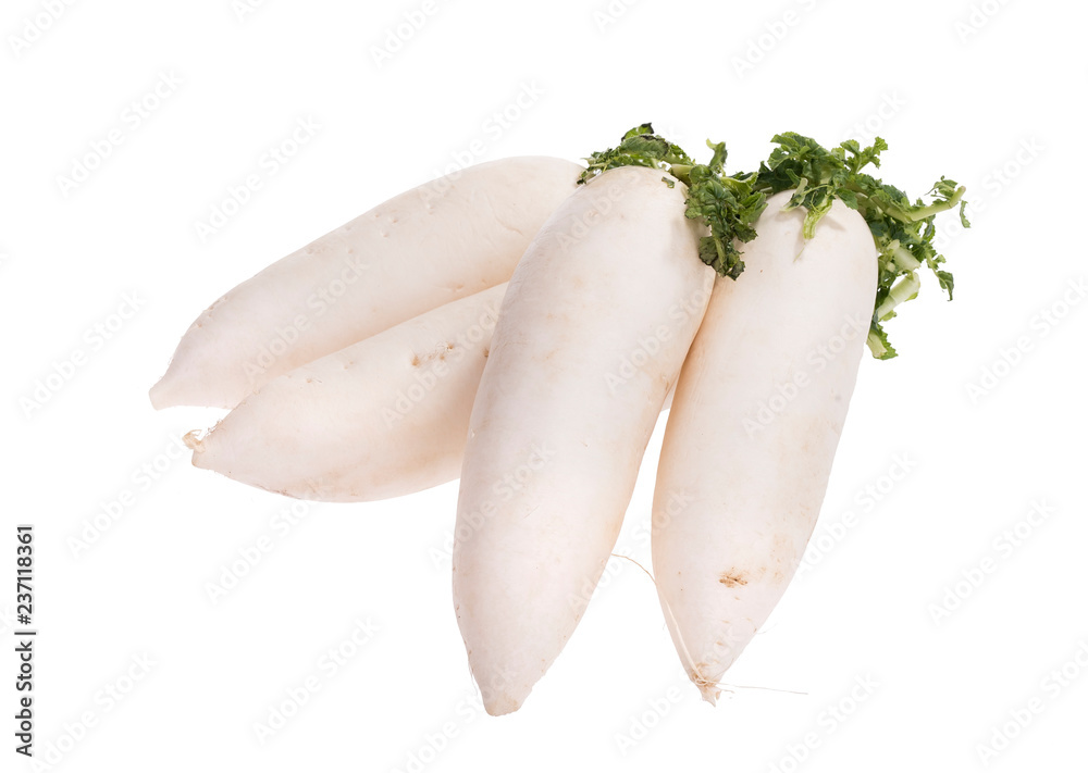 Daikon radishes isolated on white background Daikon radishes isolated on white background
