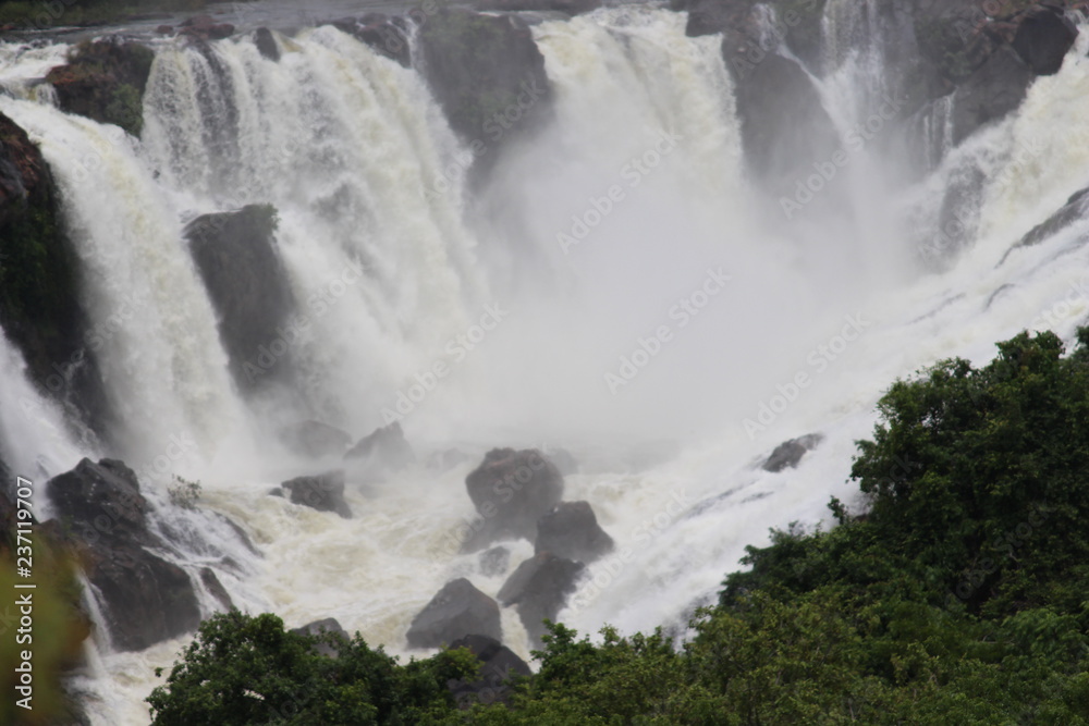 Fototapeta premium WaterFall