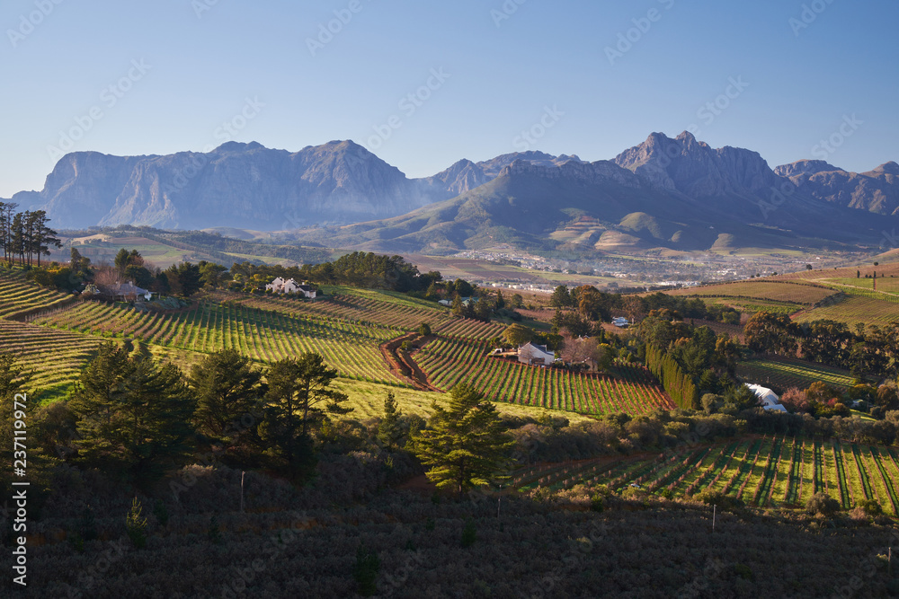 View of hillside vineyards, mountains and town in the country