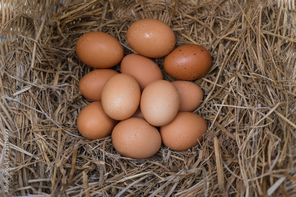 Eggs on a chicken nest made of straw are in the basket.Fresh eggs from the farm every day. Eggs on a chicken nest made of straw are in the basket.Fresh eggs from the farm every day.