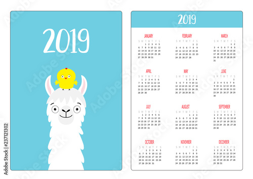 Llama alpaca and chicken bird. Simple pocket calendar layout 2019 new year. Week starts Sunday. Cute cartoon character. Vertical orientation. Flat design. Pink background.