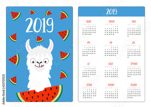 Llama alpaca and watermelon slice. Simple pocket calendar layout 2019 new year. Week starts Sunday. Cute cartoon character. Vertical orientation. Flat design. Blue background.