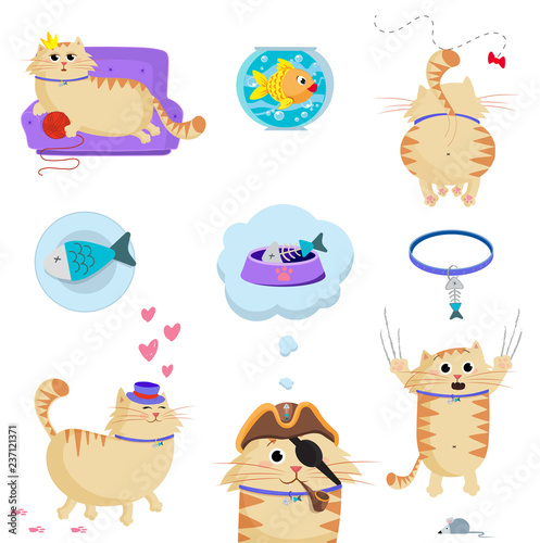 Vector set of cute cat in different life situations photo